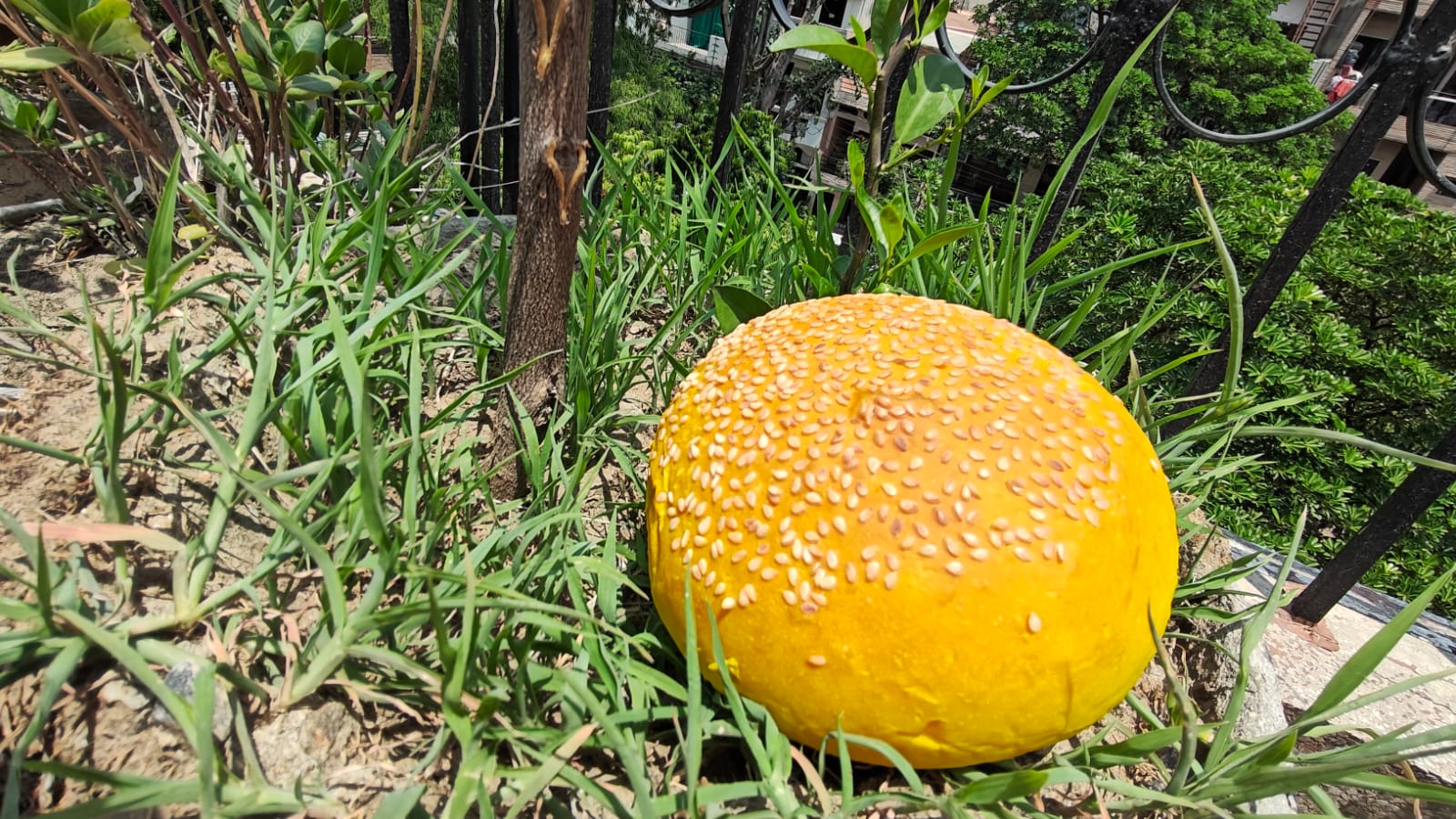 Saffron sesame bun close-up